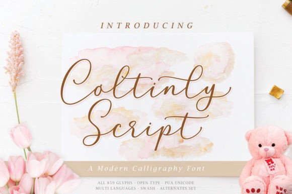 Coltinly Script: A Modern Calligraphy Font for Creative Designers