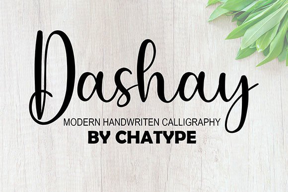 Dashay: A Script Handwritten Font for Digital Branding and Web Design