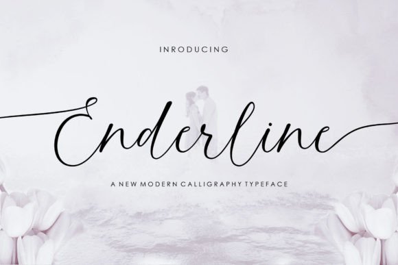 Enderline Script for Creative Web Design and Branding
