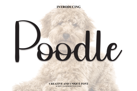 Poodle: A Script Handwritten Font for Creative Web Design